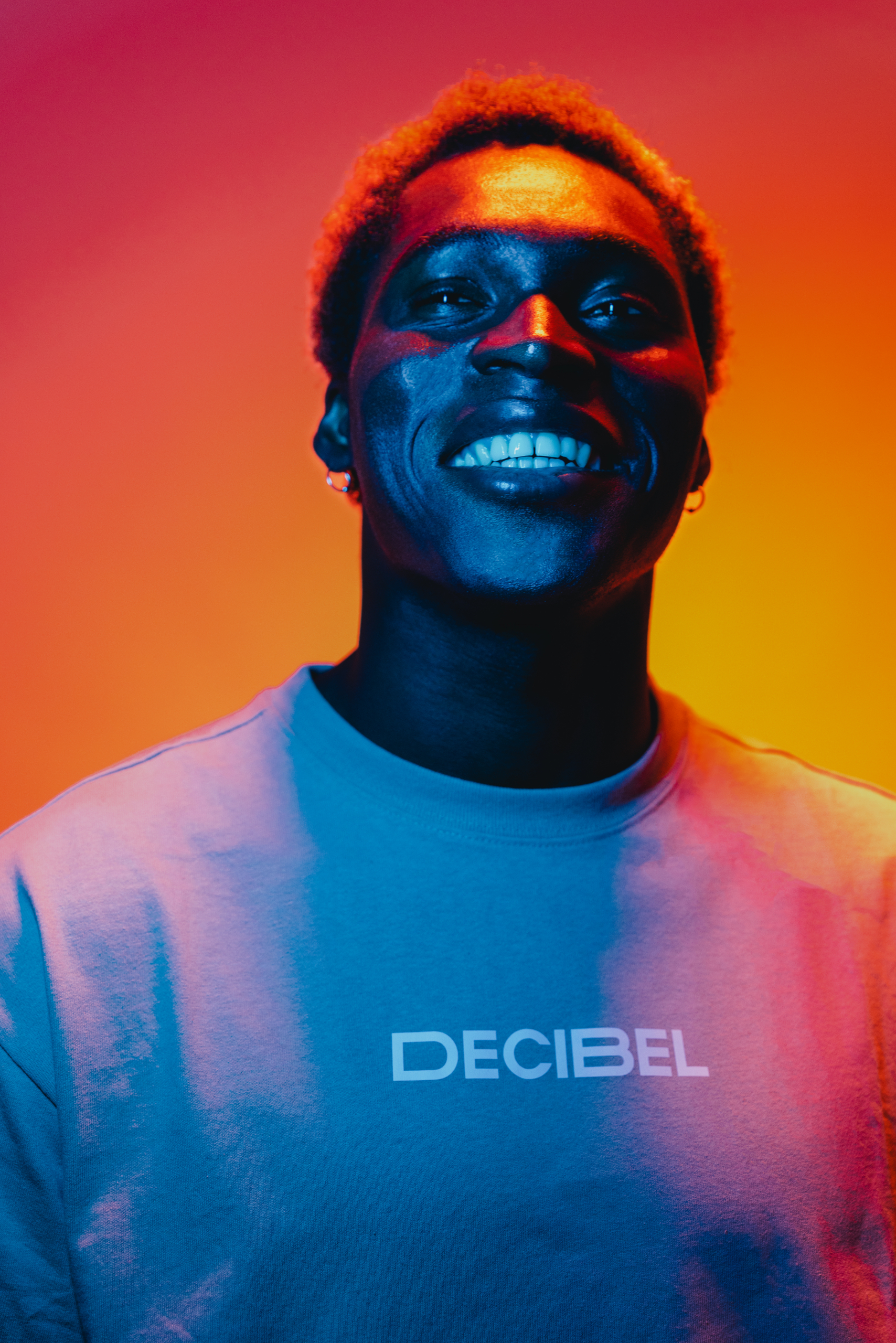 Decibel-3310-Modifier